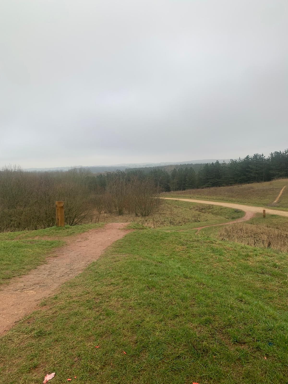 view of paths from Notts highest point